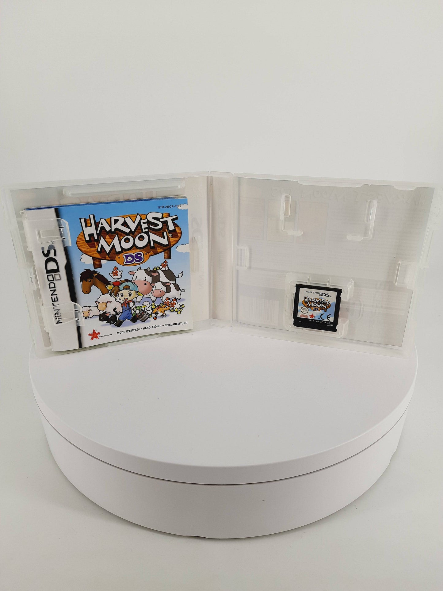 Harvest Moon DS - Tida Retro