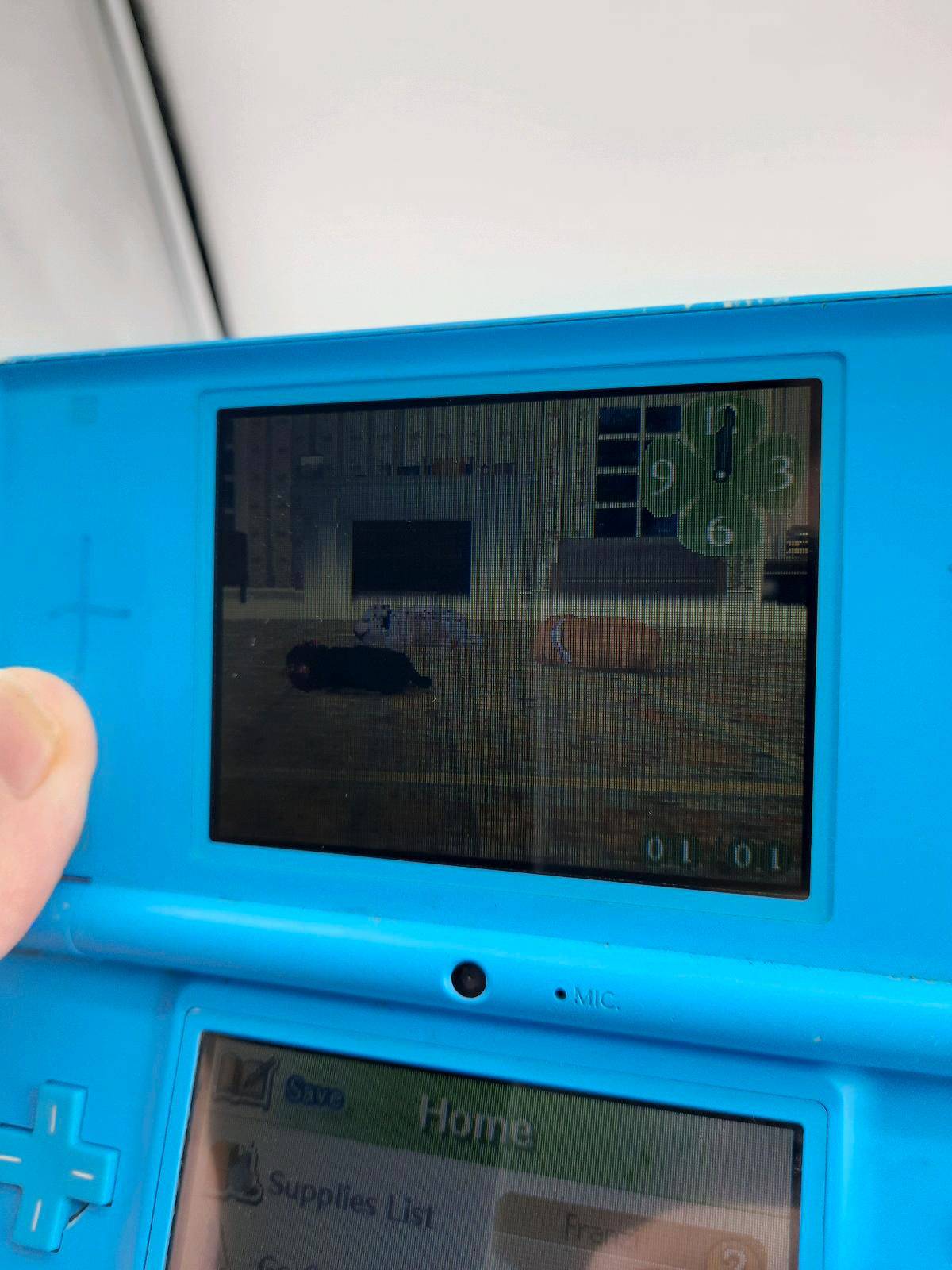 Nintendo DSi Konsole Türkis + Nintendogs Dalmatiner